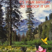 2017.019.002.03-0243